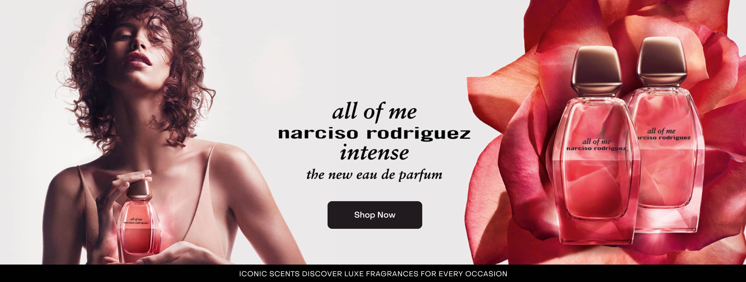 carousel image web