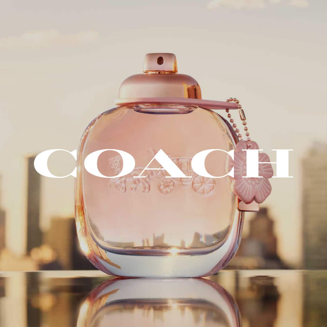 carousel image web
