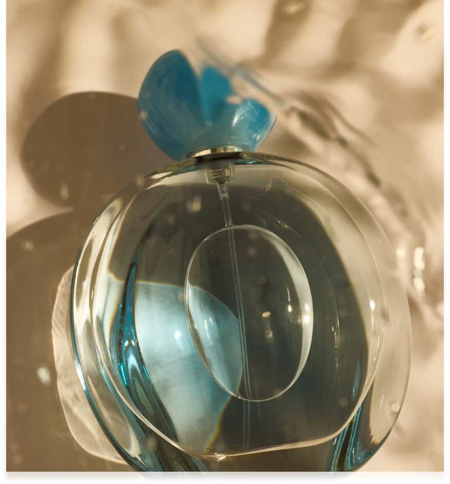 carousel image web