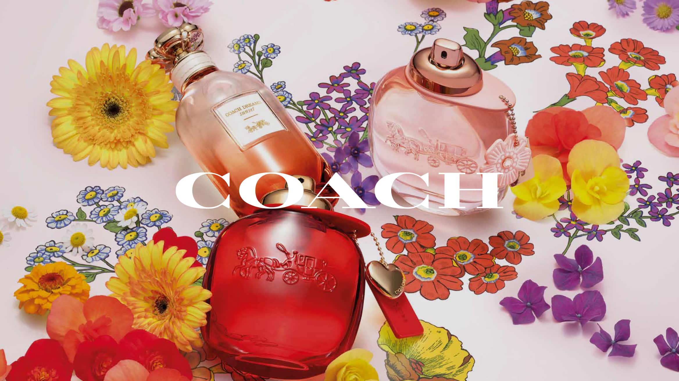 carousel image web