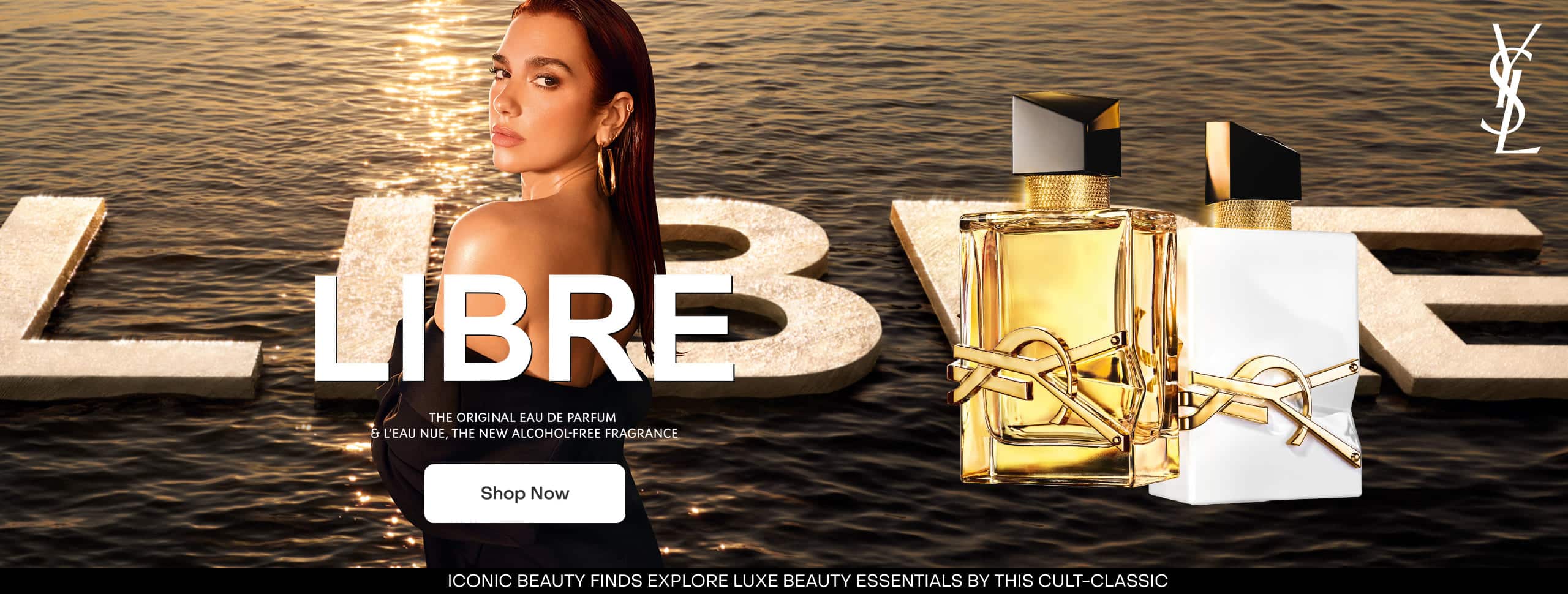 carousel image web