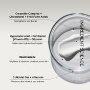 The Formularx Barrier Relief Lightweight Ceramide Moisturizer (50 g) Pack of 2 Combo