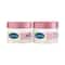 Cetaphil Bright Healthy Radiance Day and Night Cream Combo