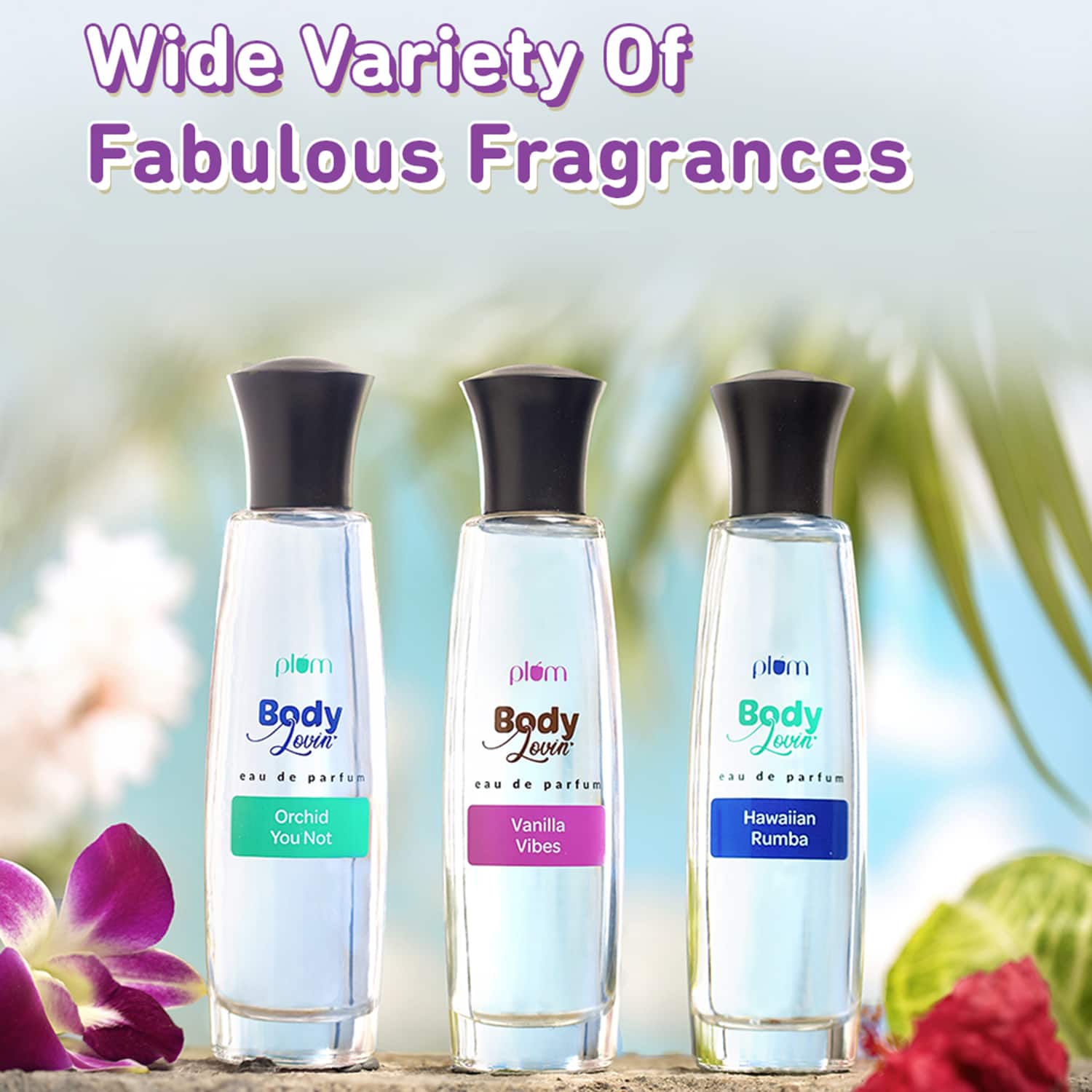 Plum perfume best sale