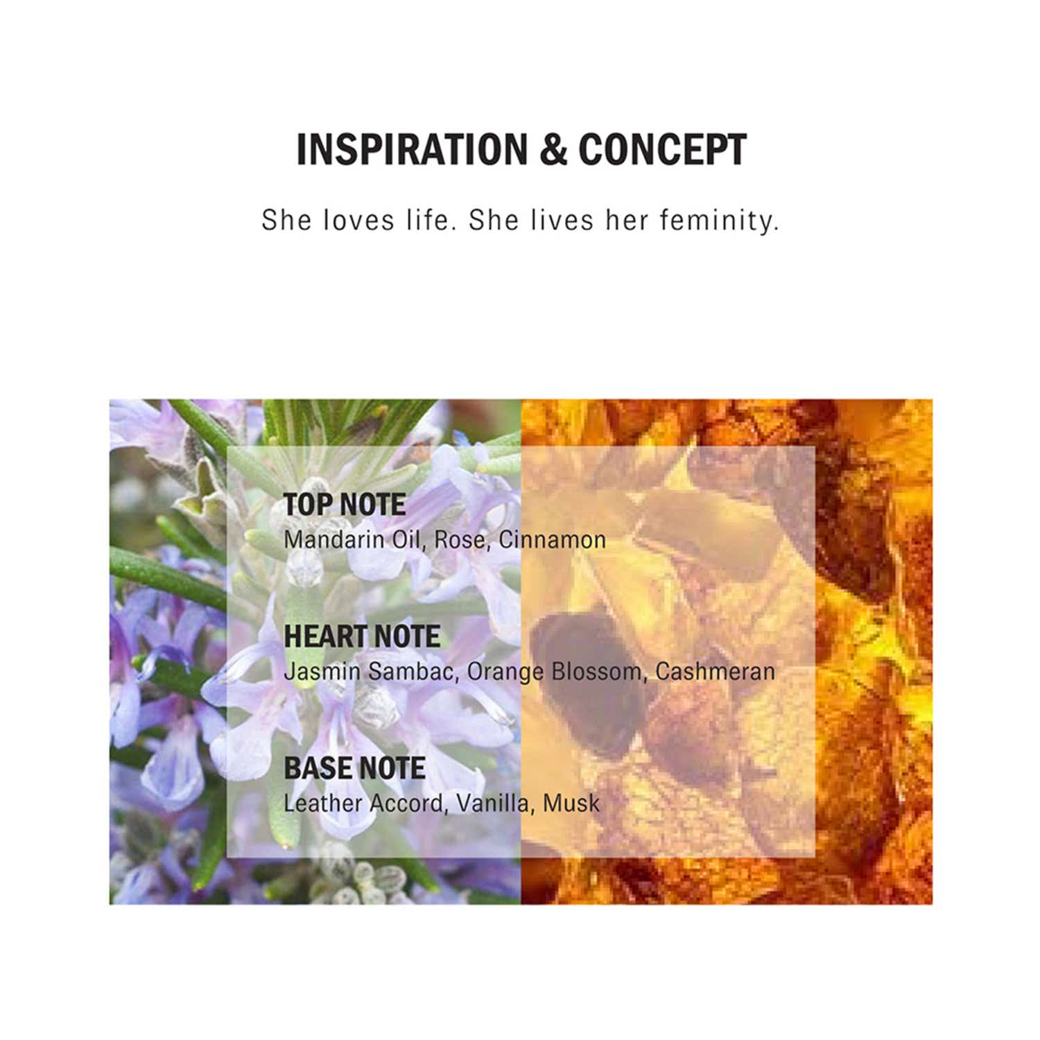 Buy Porsche Woman Black Eau De Parfum (100ml) Online at Best Price