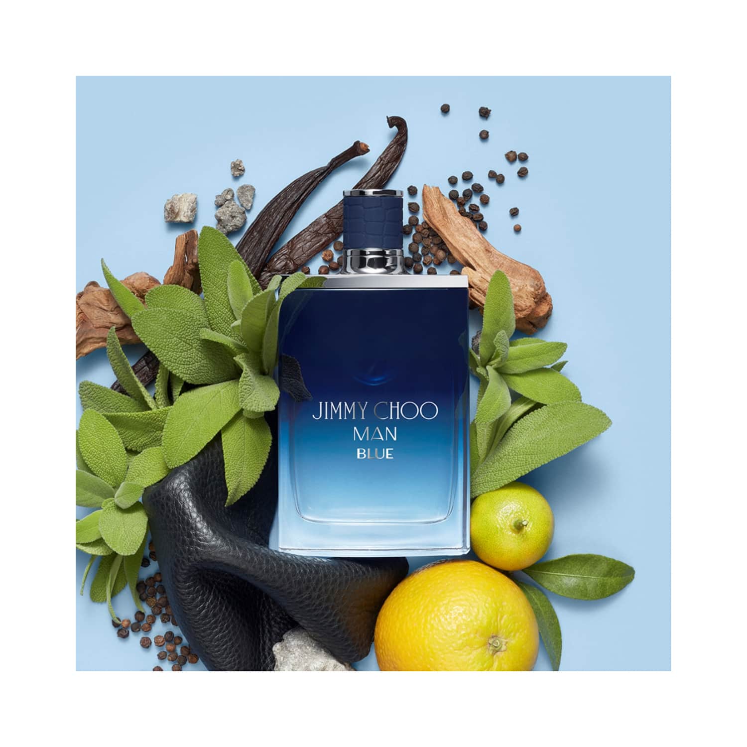 Jimmy choo outlet man blue perfume