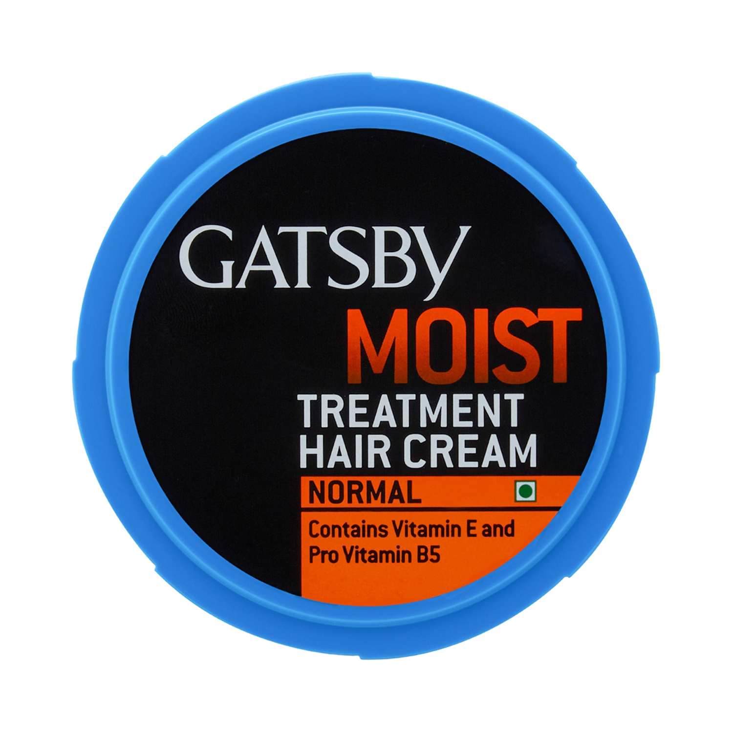 Gatsby Treatment Normal Hair Cream (250g)