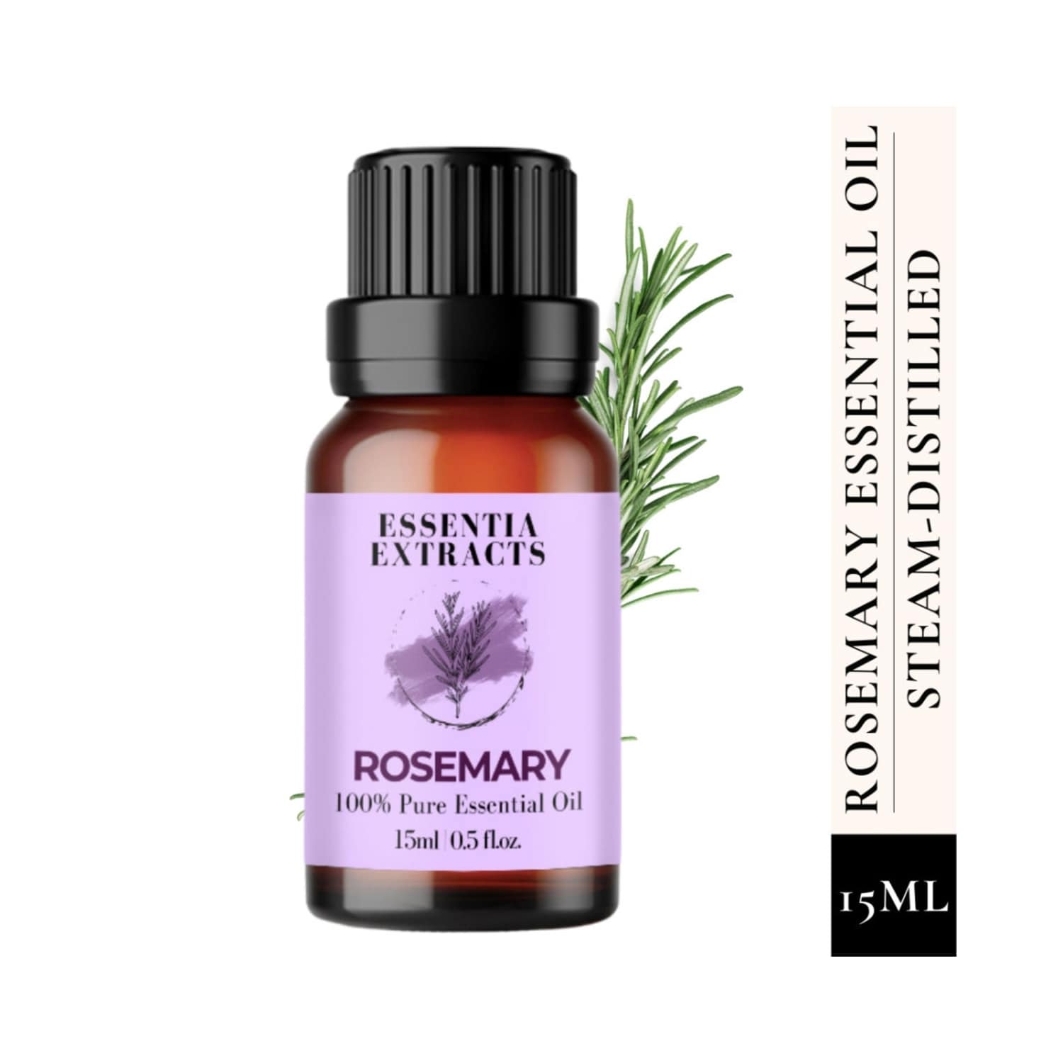 Essentia Extracts | Essentia Extracts Rosemary Essential Oil (15ml)