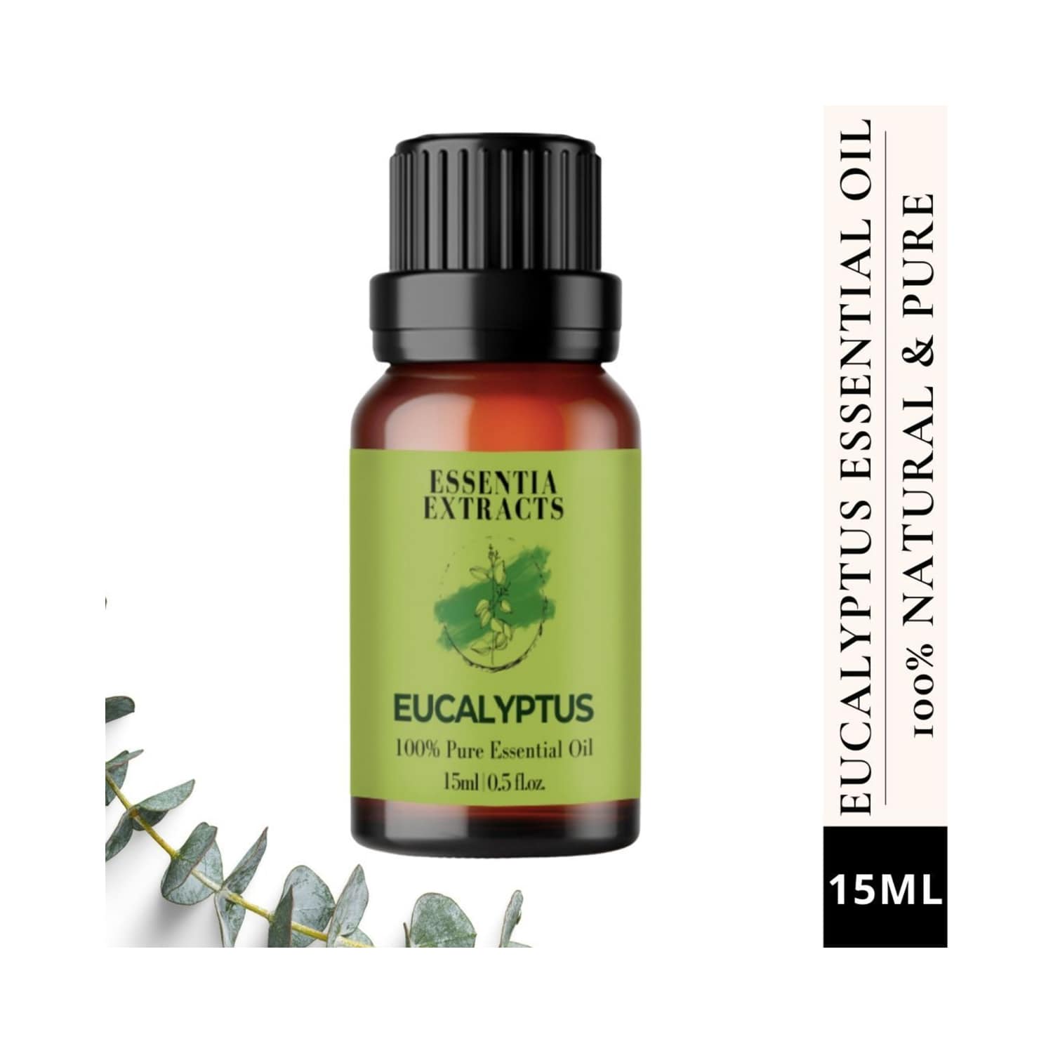 Essentia Extracts | Essentia Extracts Eucalyptus Essential Oil (15ml)