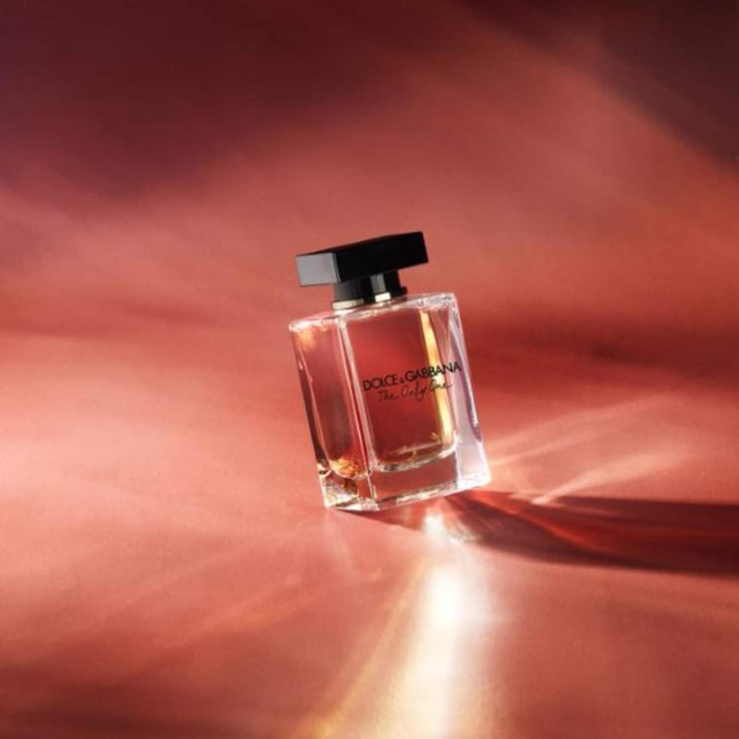 Only dolce gabbana hotsell