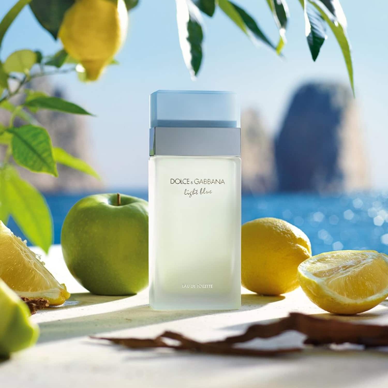 D&g light blue new arrivals 25ml