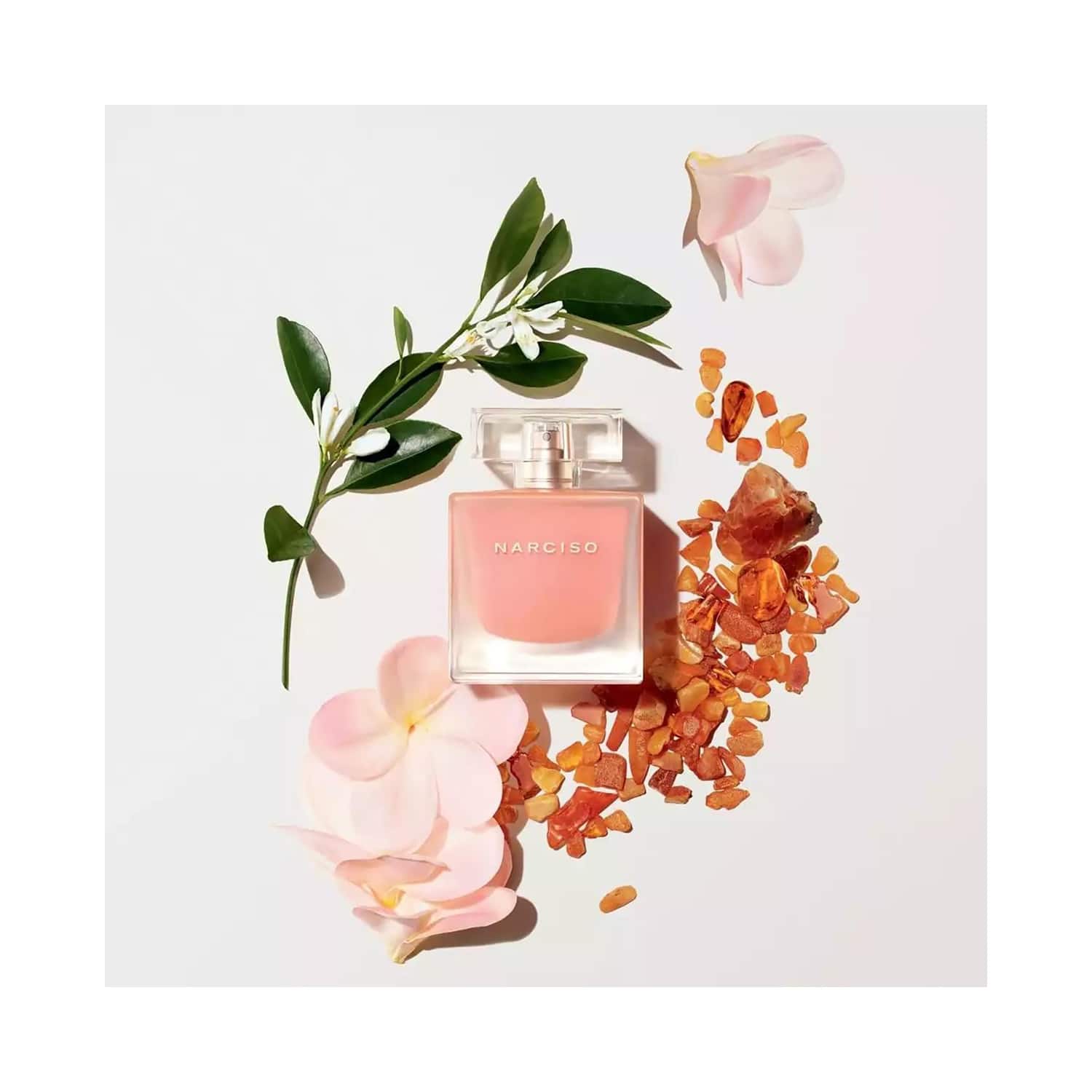 Buy Narciso Rodriguez Narciso Ambr e EDP 90ml Online at Best