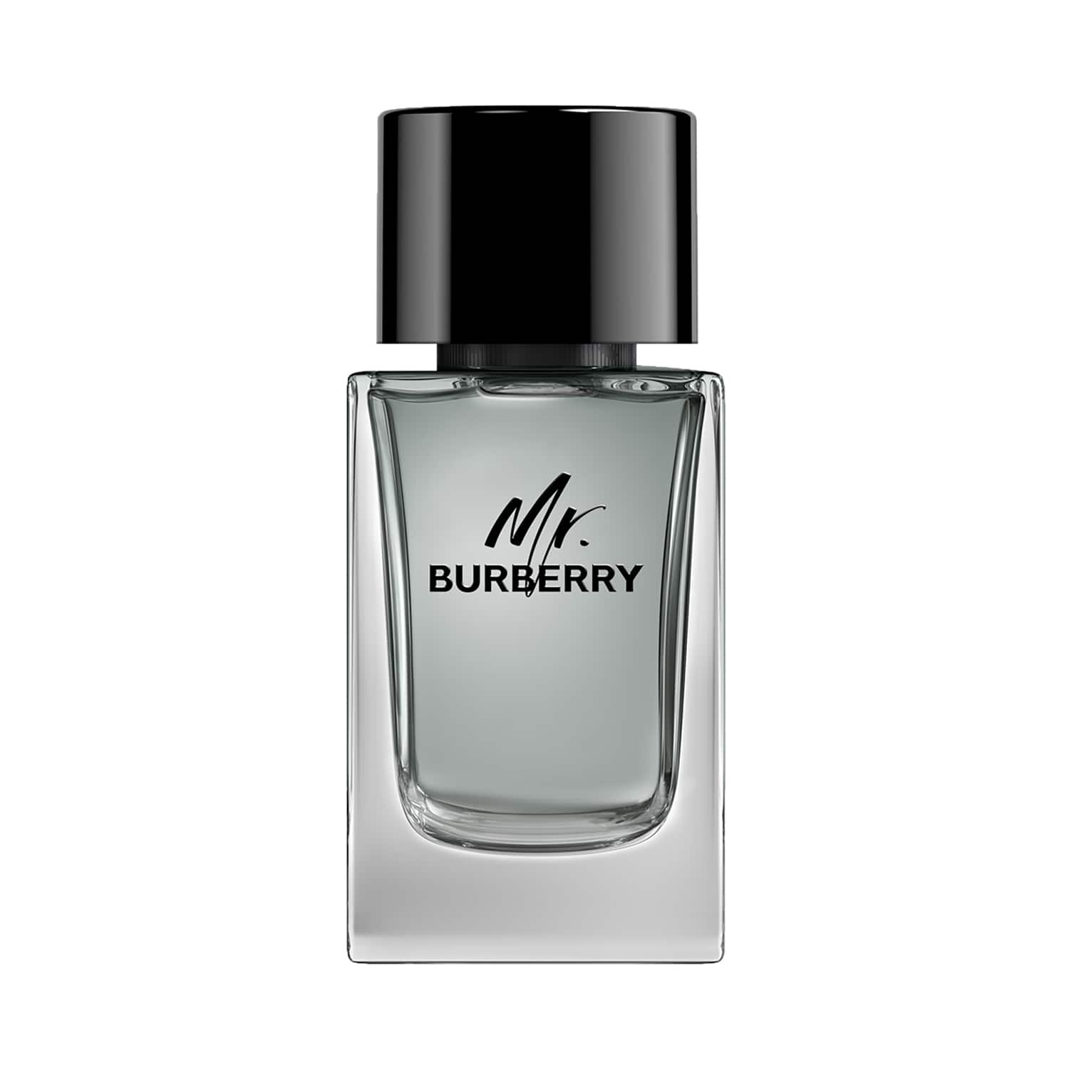 Burberry Mr. Burberry Eau De Toilette (100ml)