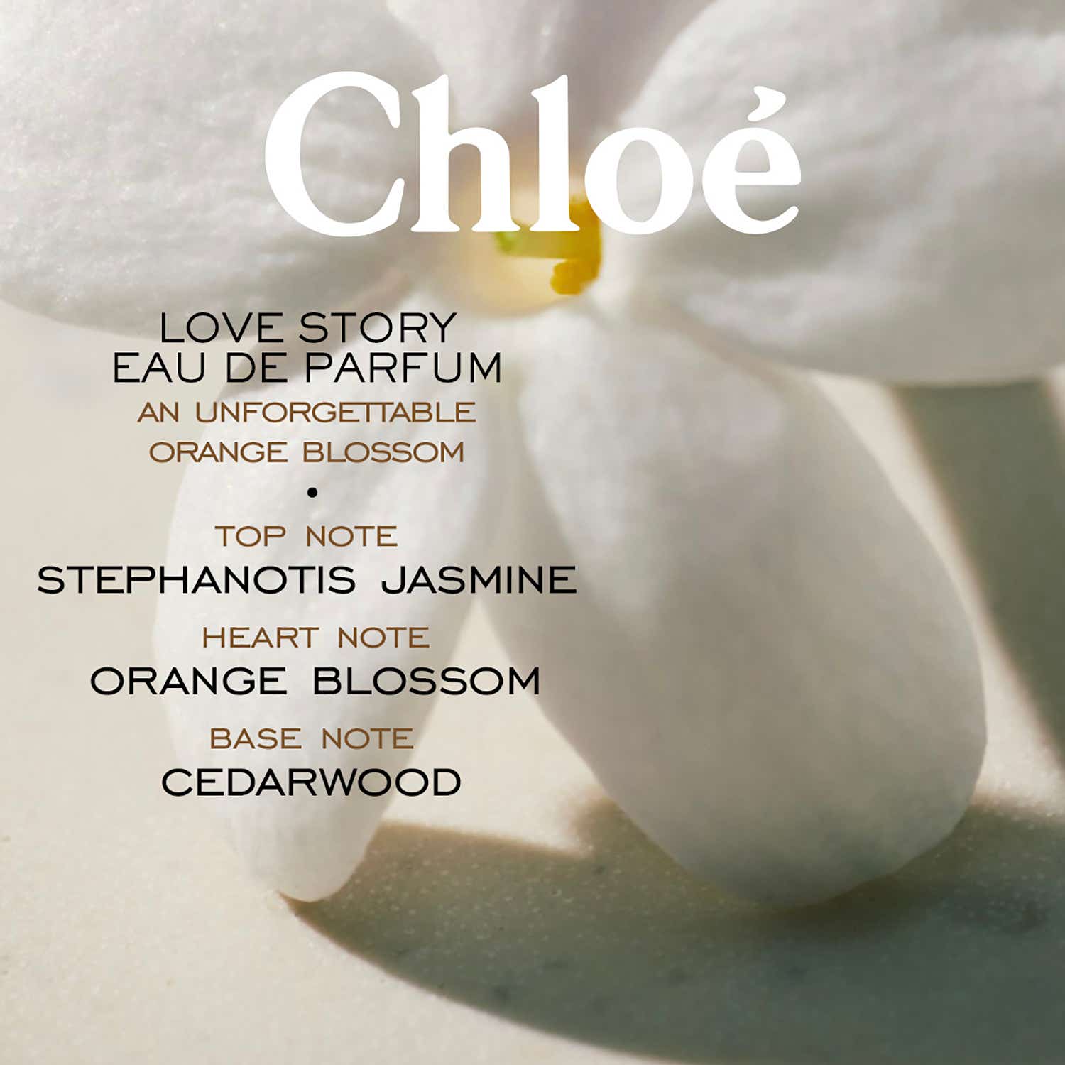 Buy Chloe Love Story Eau De Parfum Spray (50ml) Online at Best 