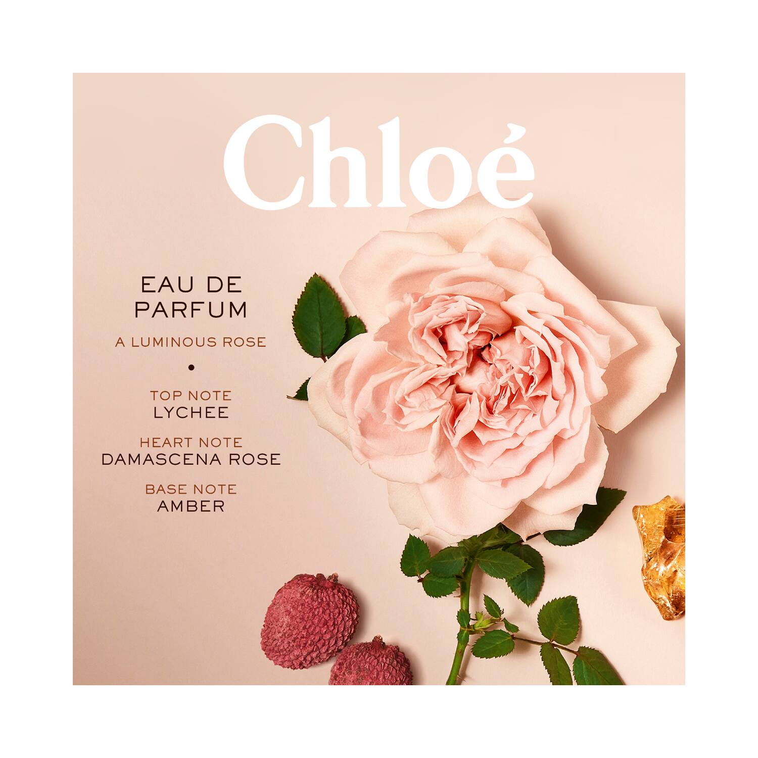 Rose de chloe parfum deals