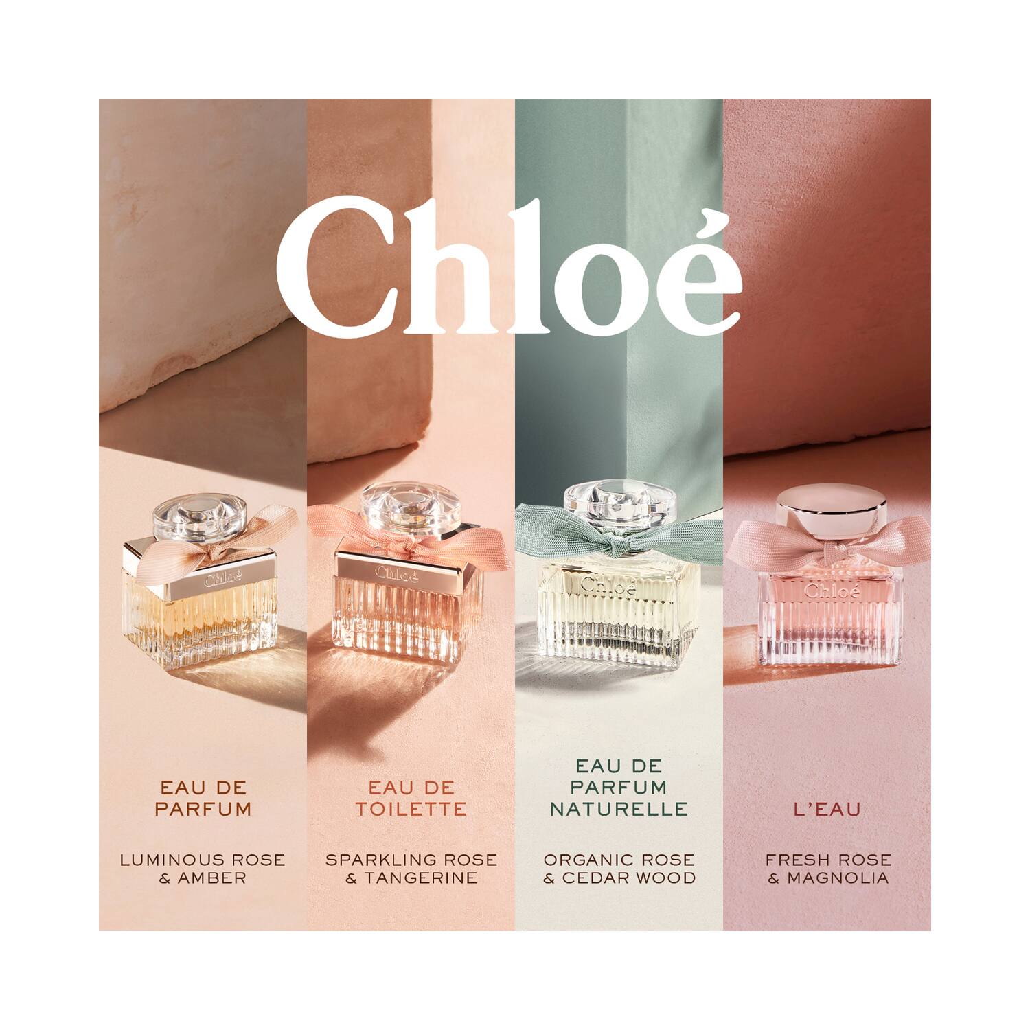 Roses chloe discount eau de parfum