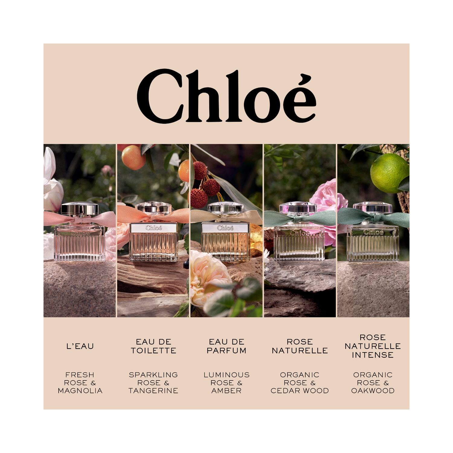 Chloe toilette sales