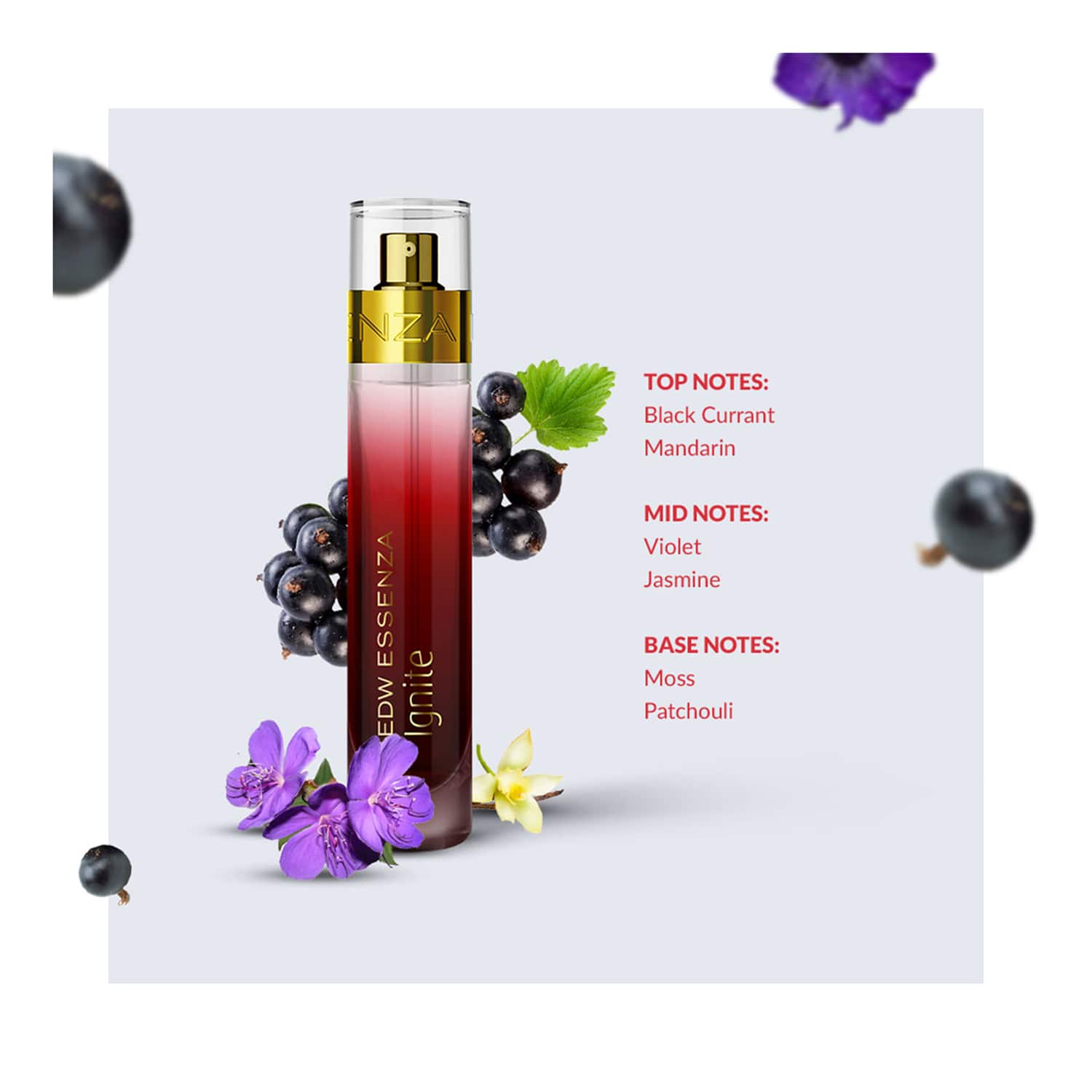 Essenza online black perfume