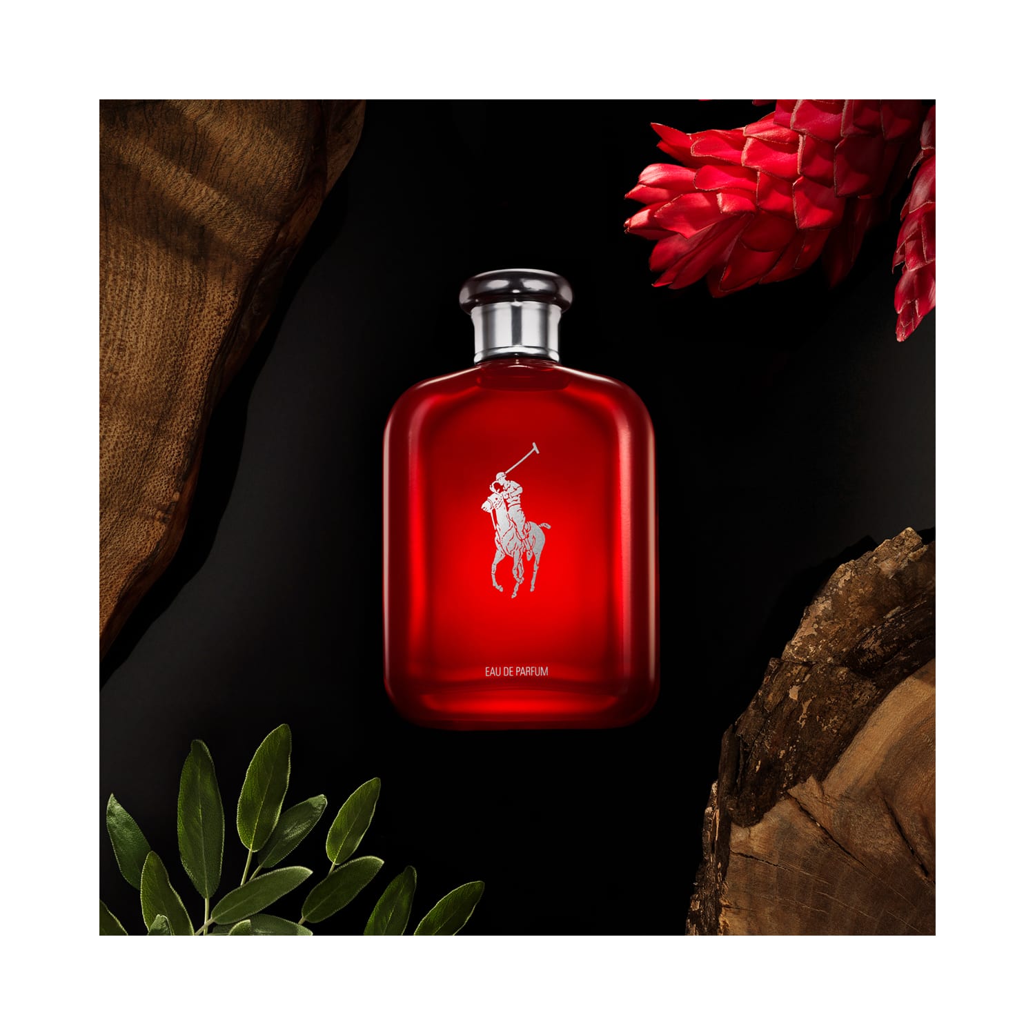 Buy Ralph Lauren Polo Red Eau De Parfum 75ml Online at Best
