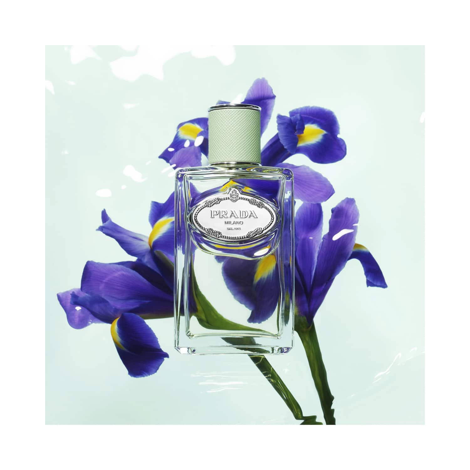 Prada hot sale iris parfum