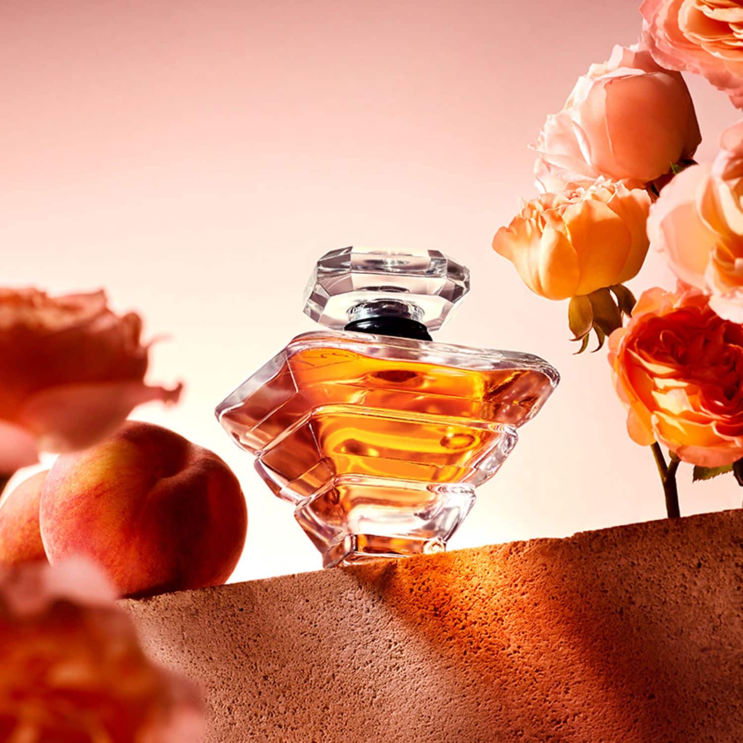 Tresor perfume online 100ml best price