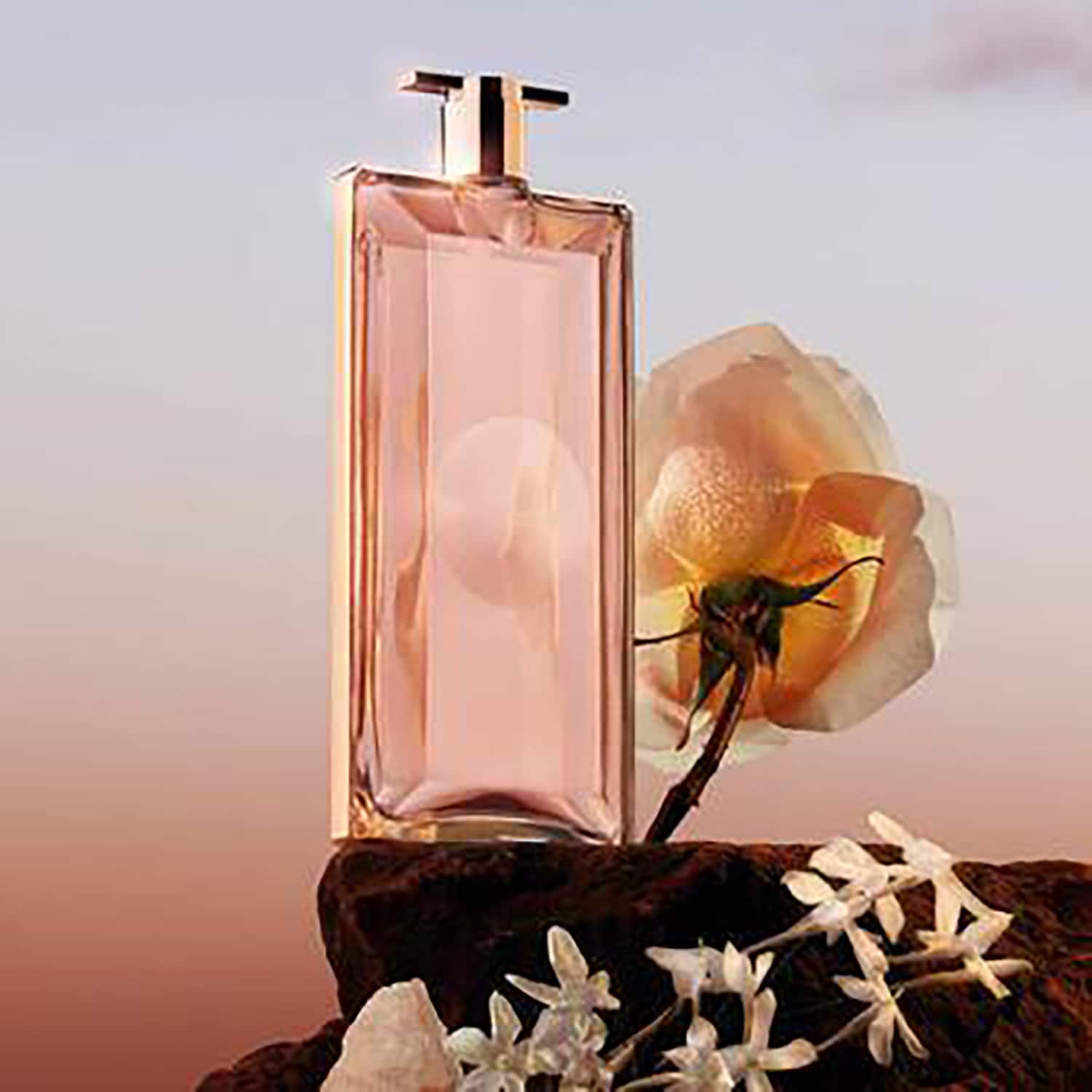 Lancome idole eau 2025 de parfum spray