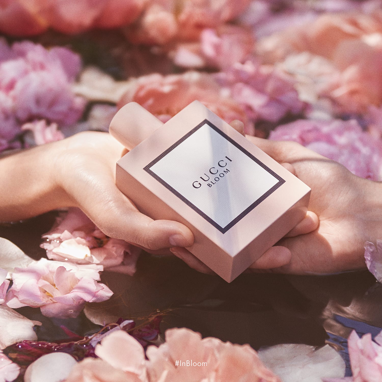 Gucci bloom hotsell 50 ml