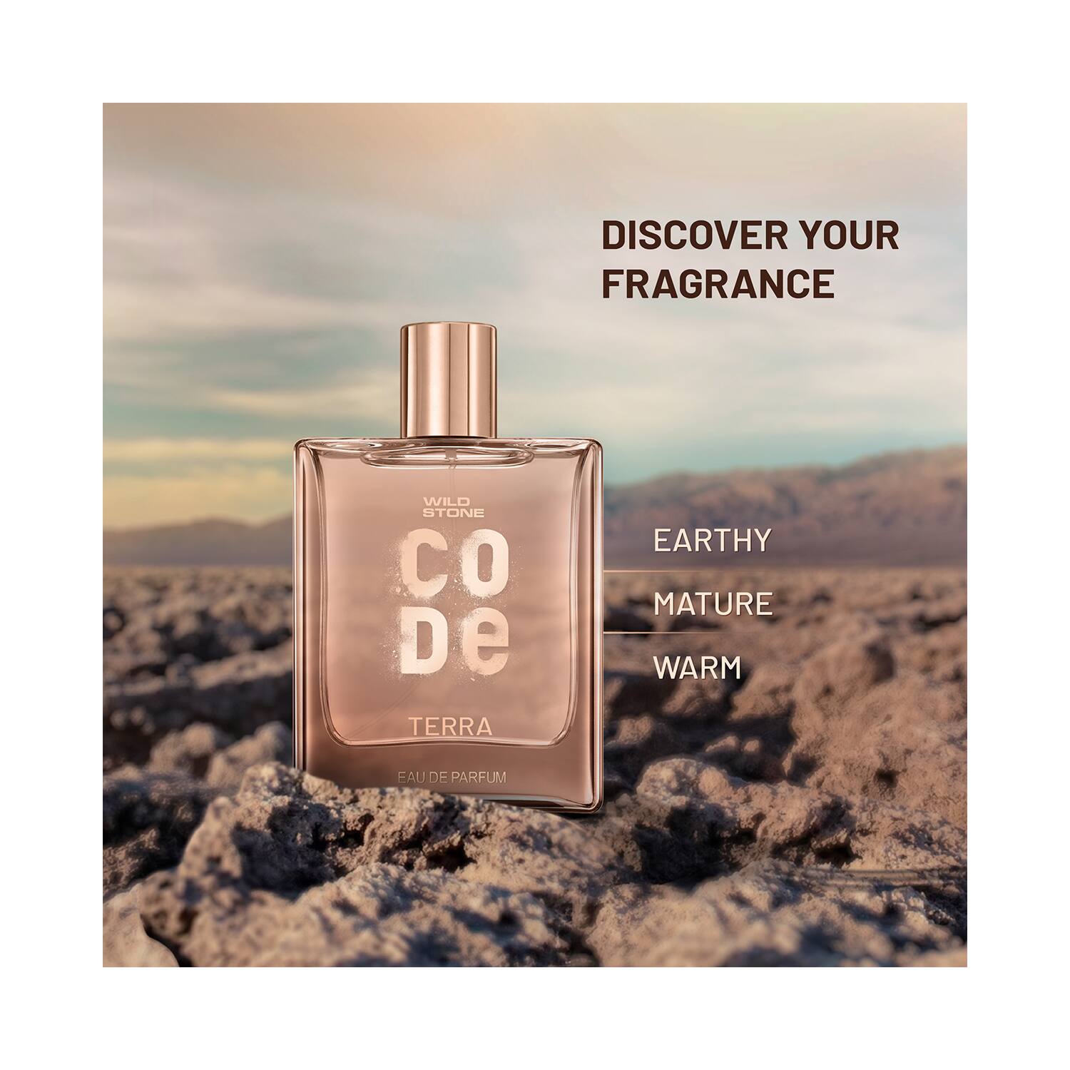 Wild stone deals fine fragrance
