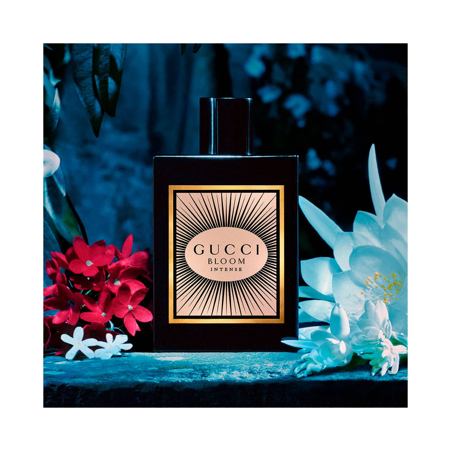 Gucci bloom sale intense