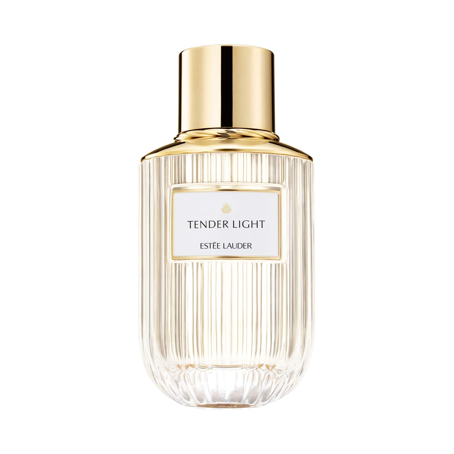 Estee Lauder | Estee Lauder Tender Light Eau De Parfum Spray (100ml)