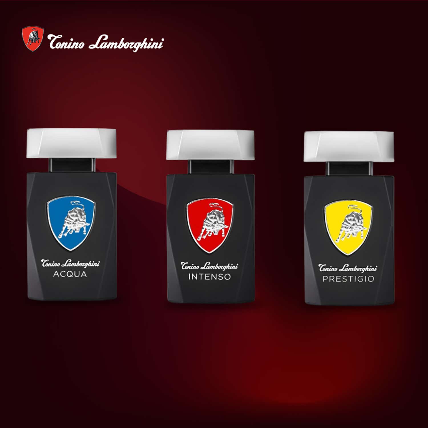 Buy Tonino Lamborghini Acqua Eau De Toilette (125ml) Online at