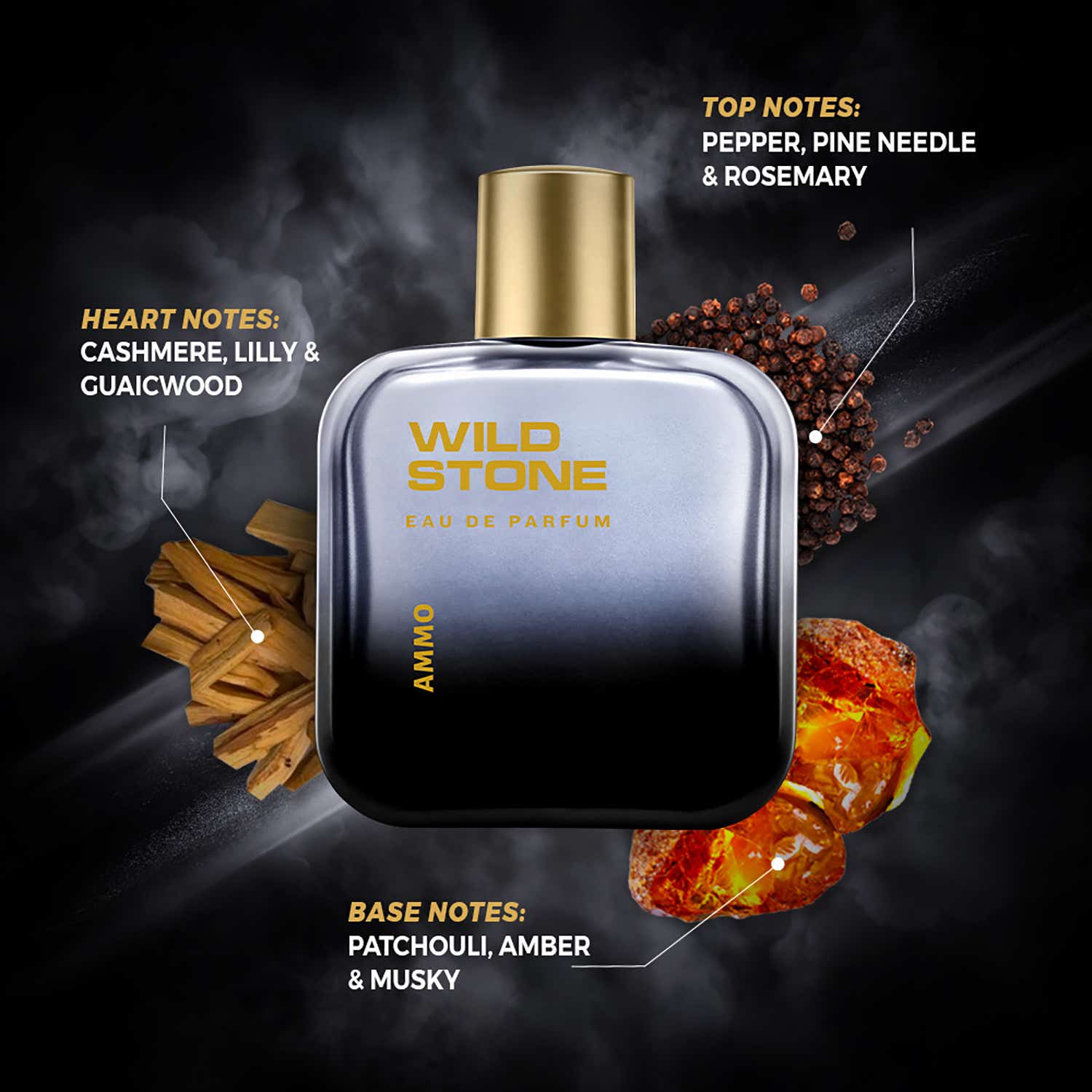 Buy Wild Stone Ammo Eau De Parfum (100ml) Online at Best Price in