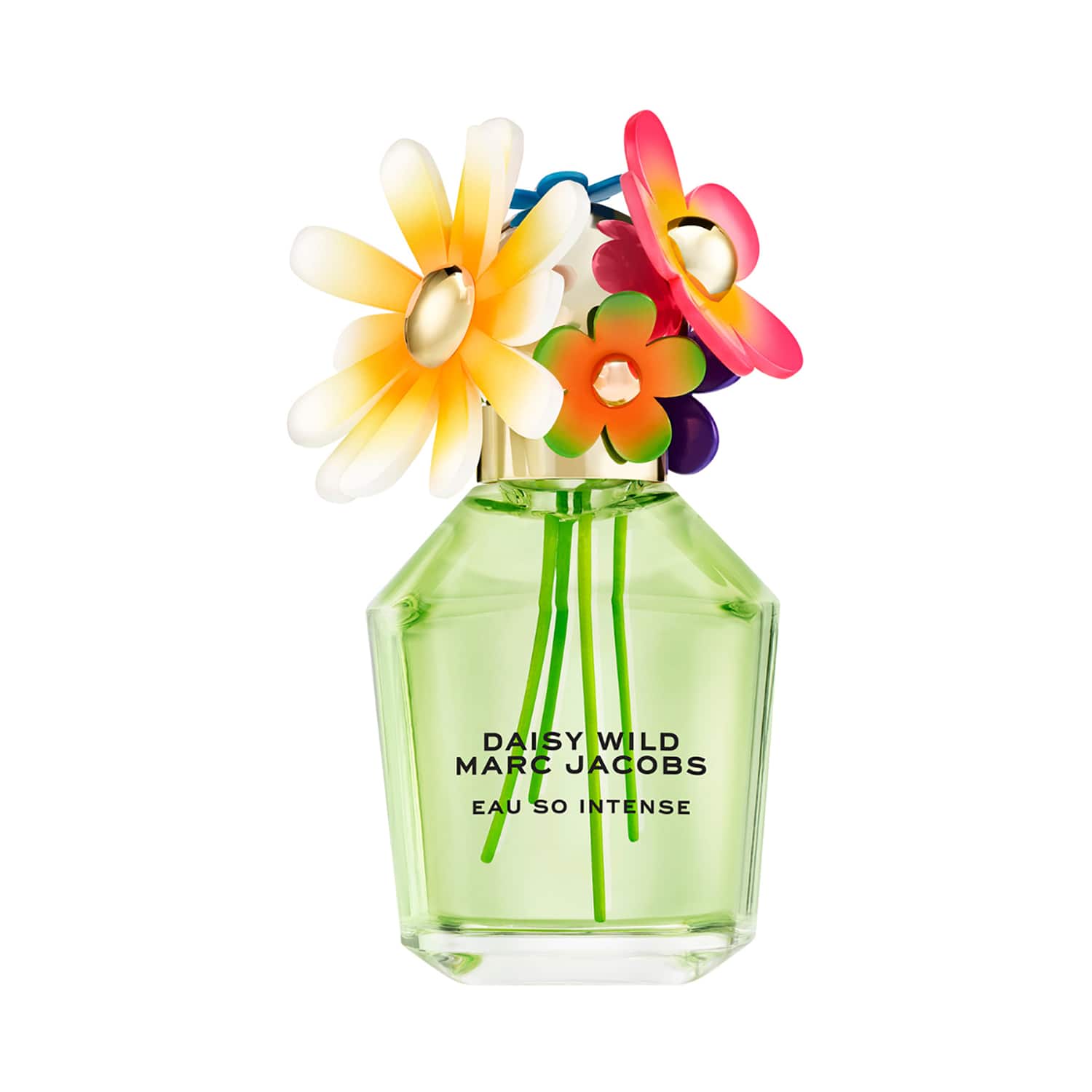 Marc Jacobs | Marc Jacobs Daisy Wild Eau So Intense Eau De Parfum (100 ml)