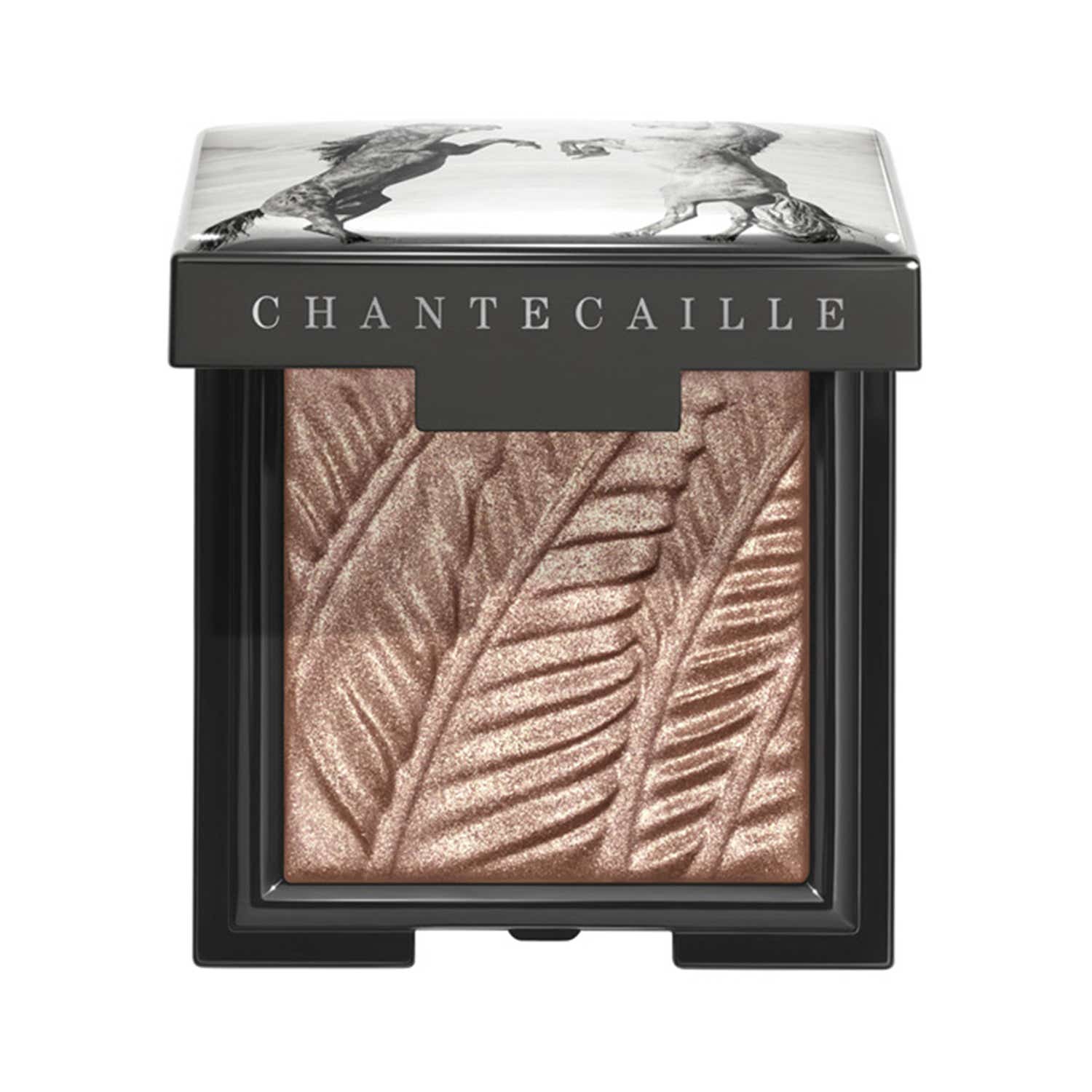 CHANTECAILLE | CHANTECAILLE Luminescent Eye Shade - Mustang (2.5 g)