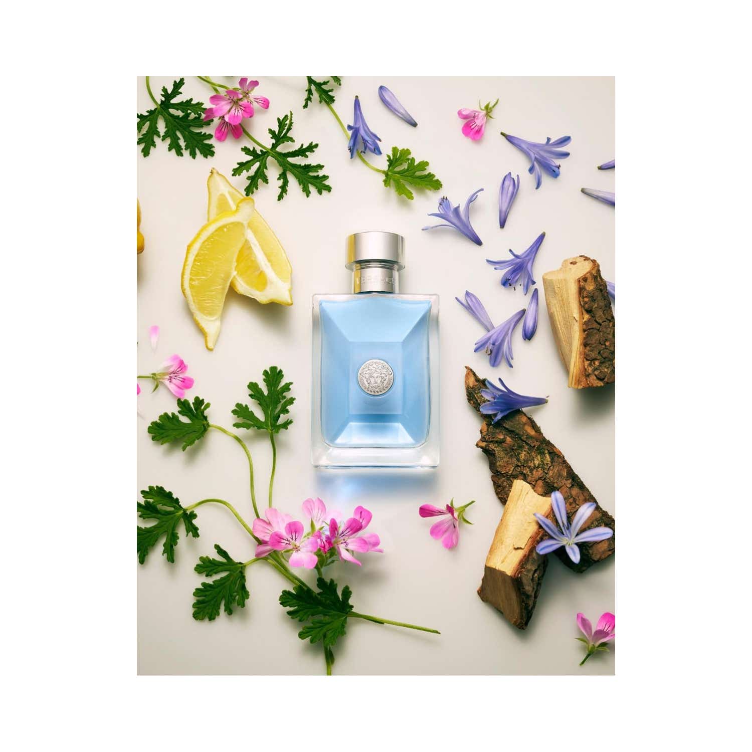 Buy Versace Pour Homme Eau De Toilette (50ml) Online at Best Price - Main Image