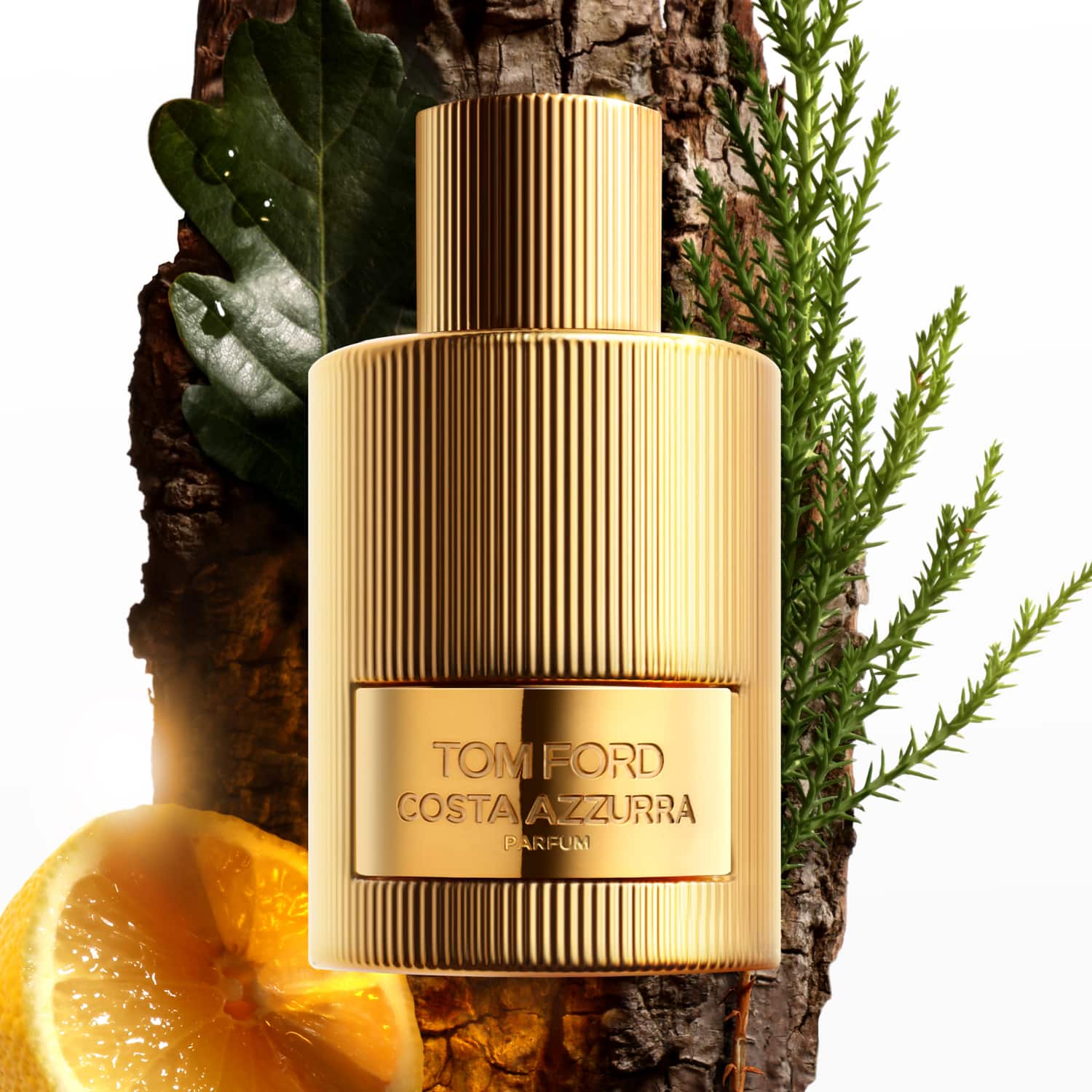 Tom ford costa azzurra 100 ml store