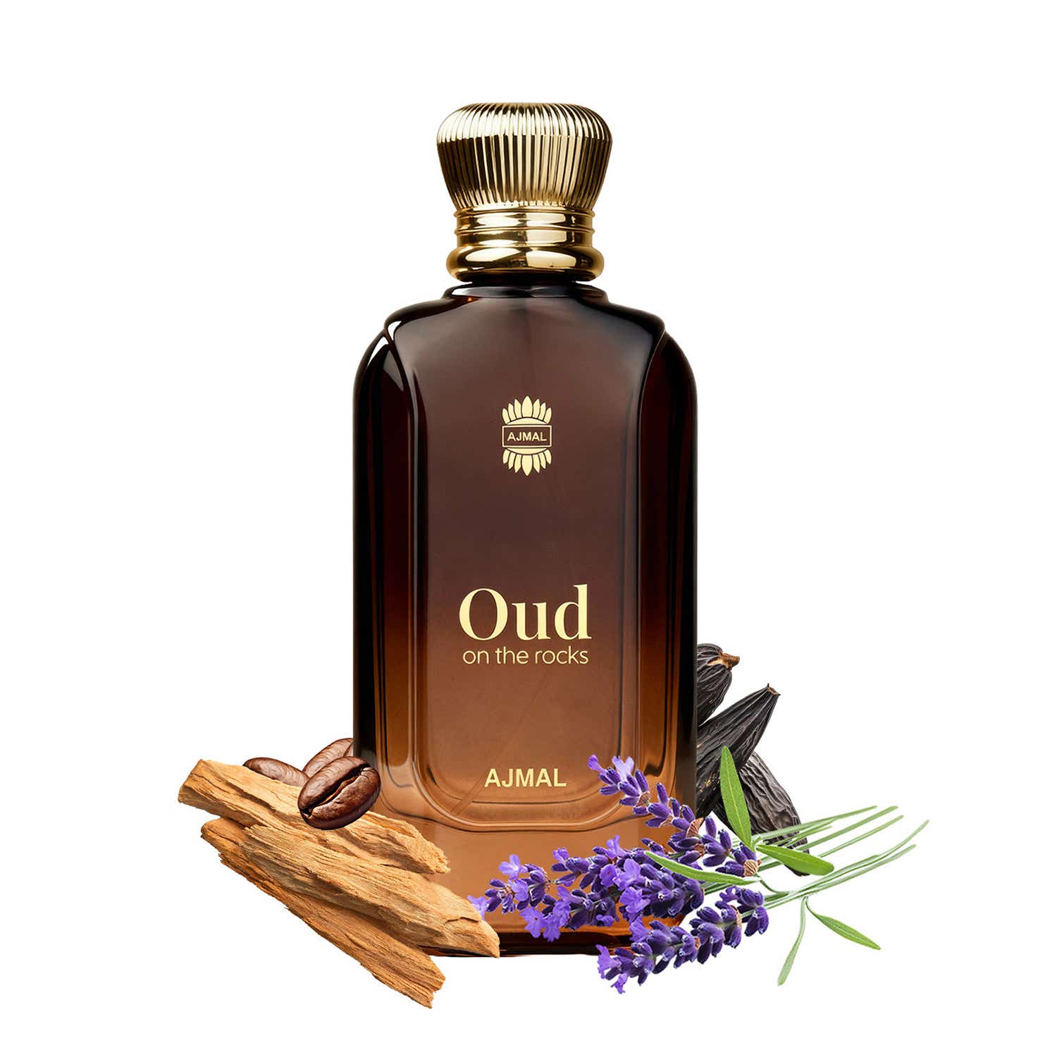 AJMAL | Ajmal Oud on the Rocks Eau De Parfum Luxury Long Lasting Oud Perfume for Unisex (100 ml)