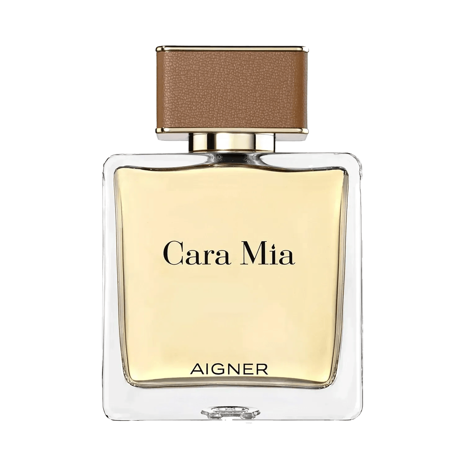 Aigner | Aigner Cara Mia Eau de Parfum (100ml)