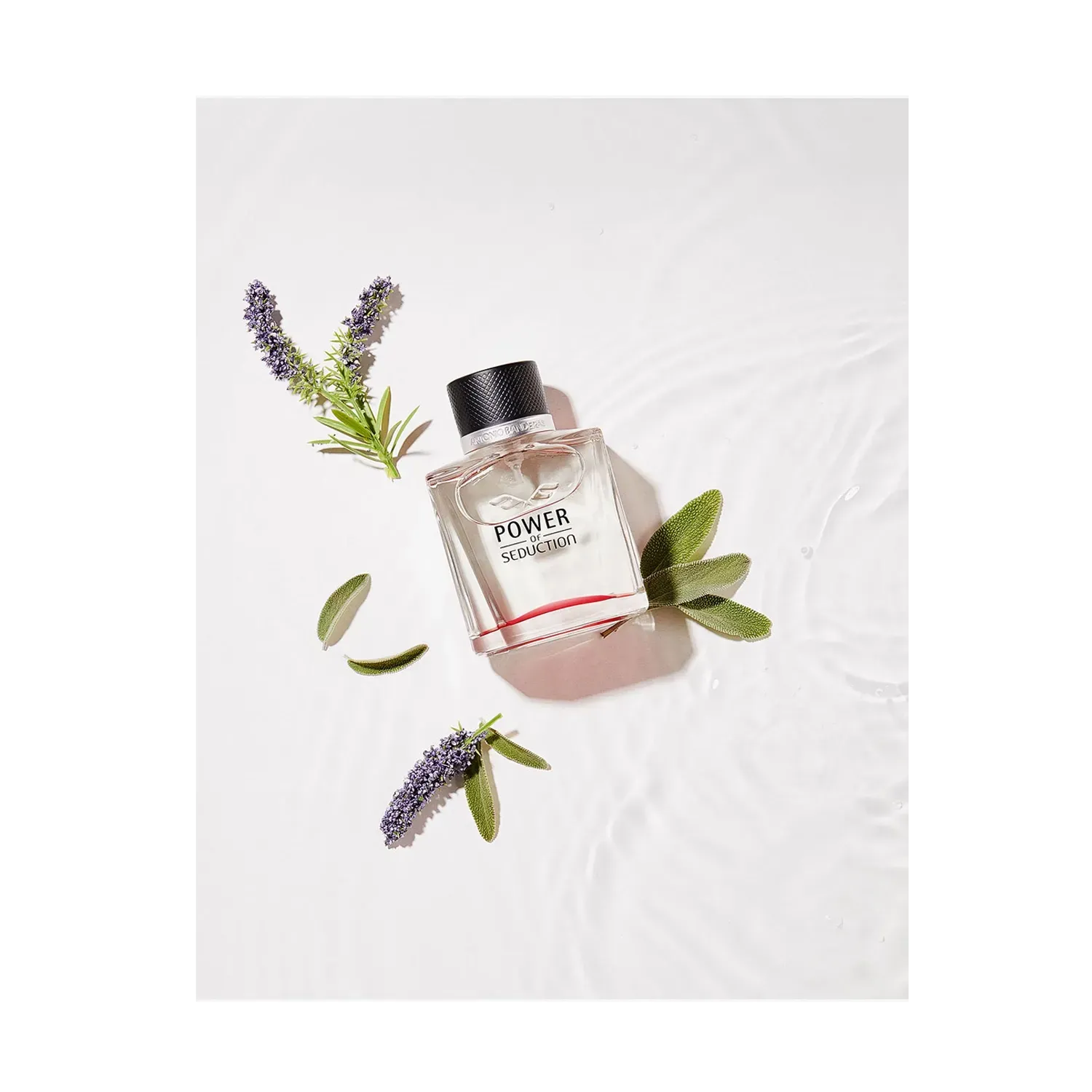 Power seduction perfume deals