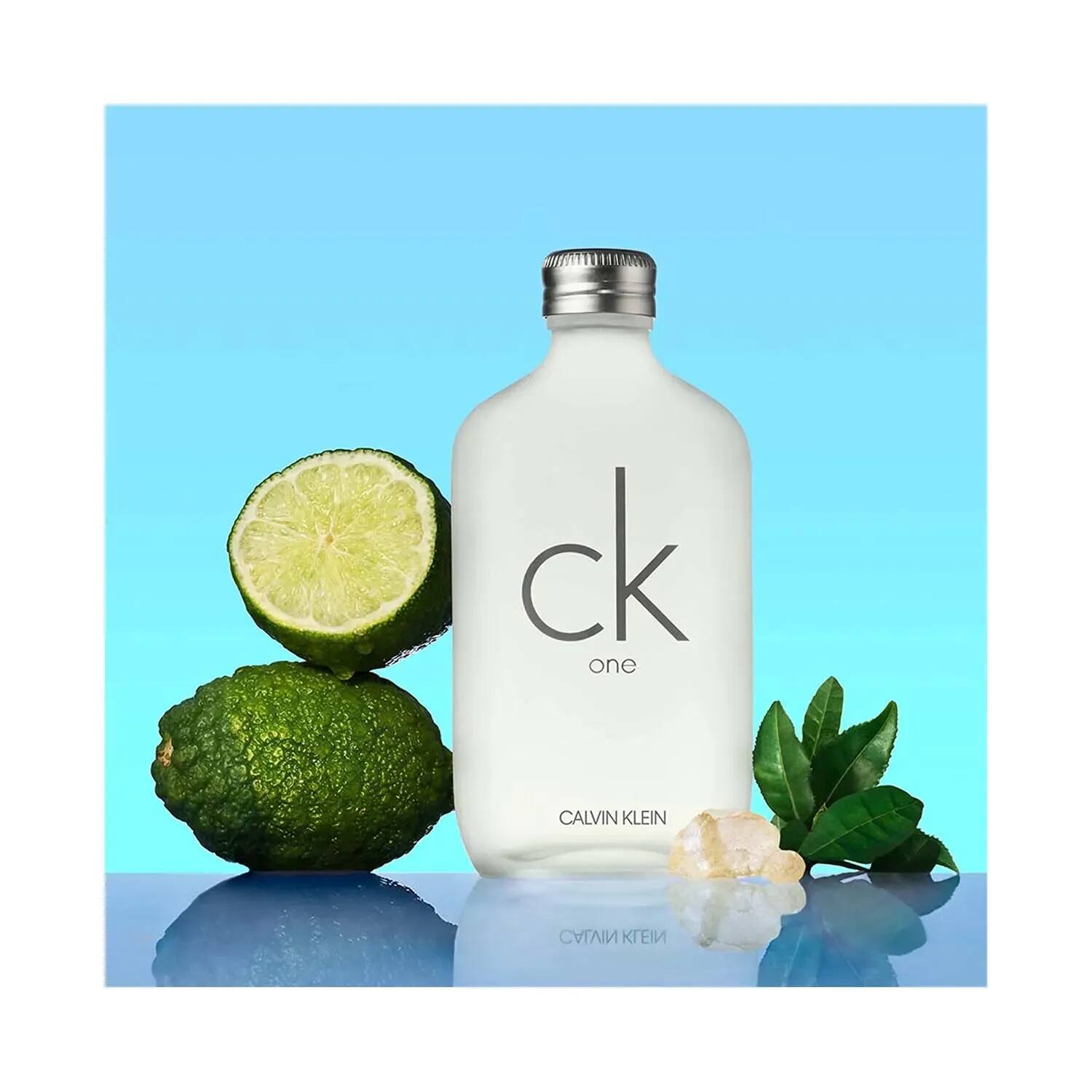 Buy Calvin Klein One Eau De Toilette 100ml Online at Best Price
