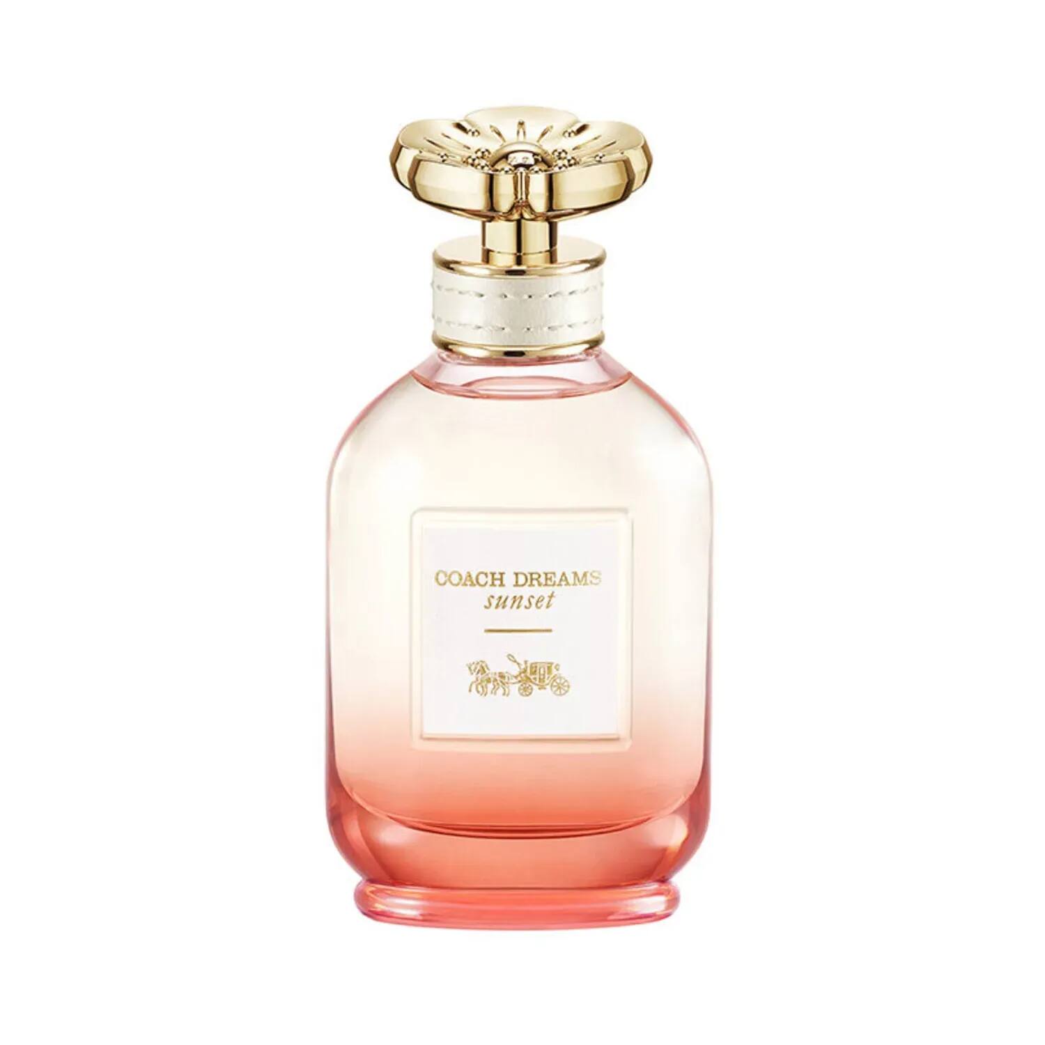 Price of coach 2025 perfume