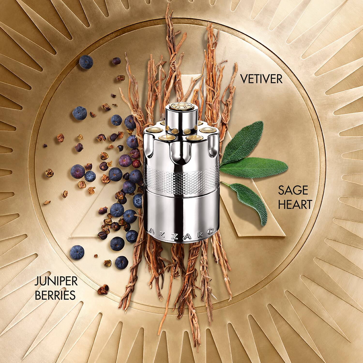 Azzaro wanted 50ml sales
