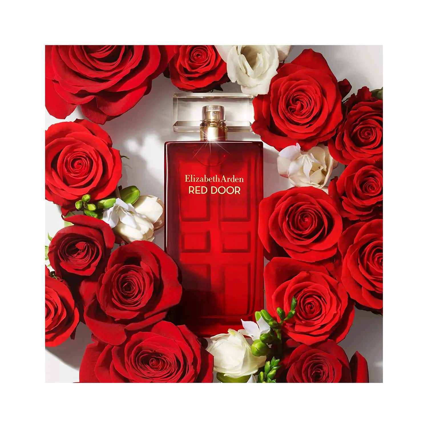 Arden red sale