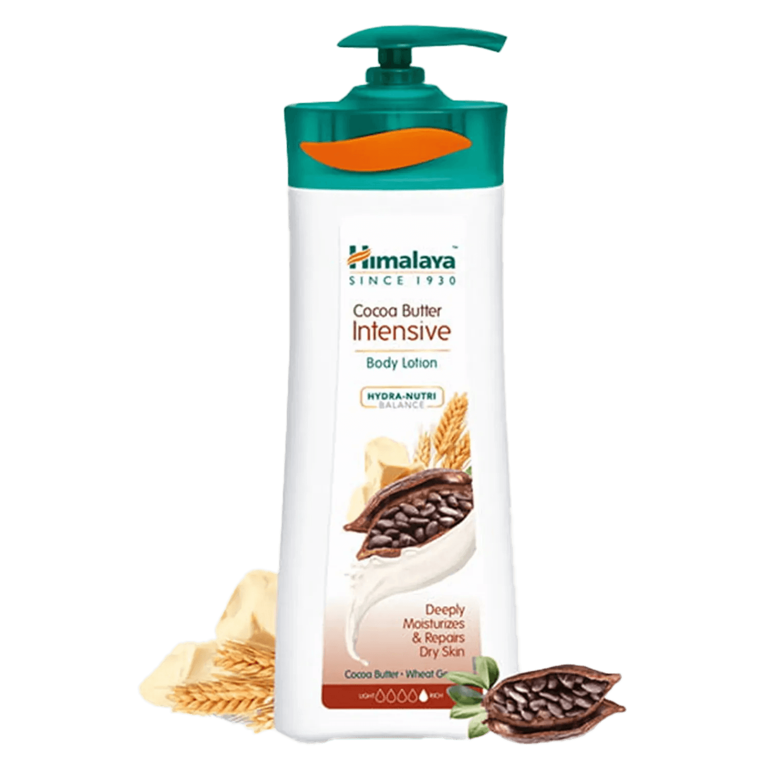 Himalaya | Himalaya Cocoa Butter Intense Body Lotion (400ml)