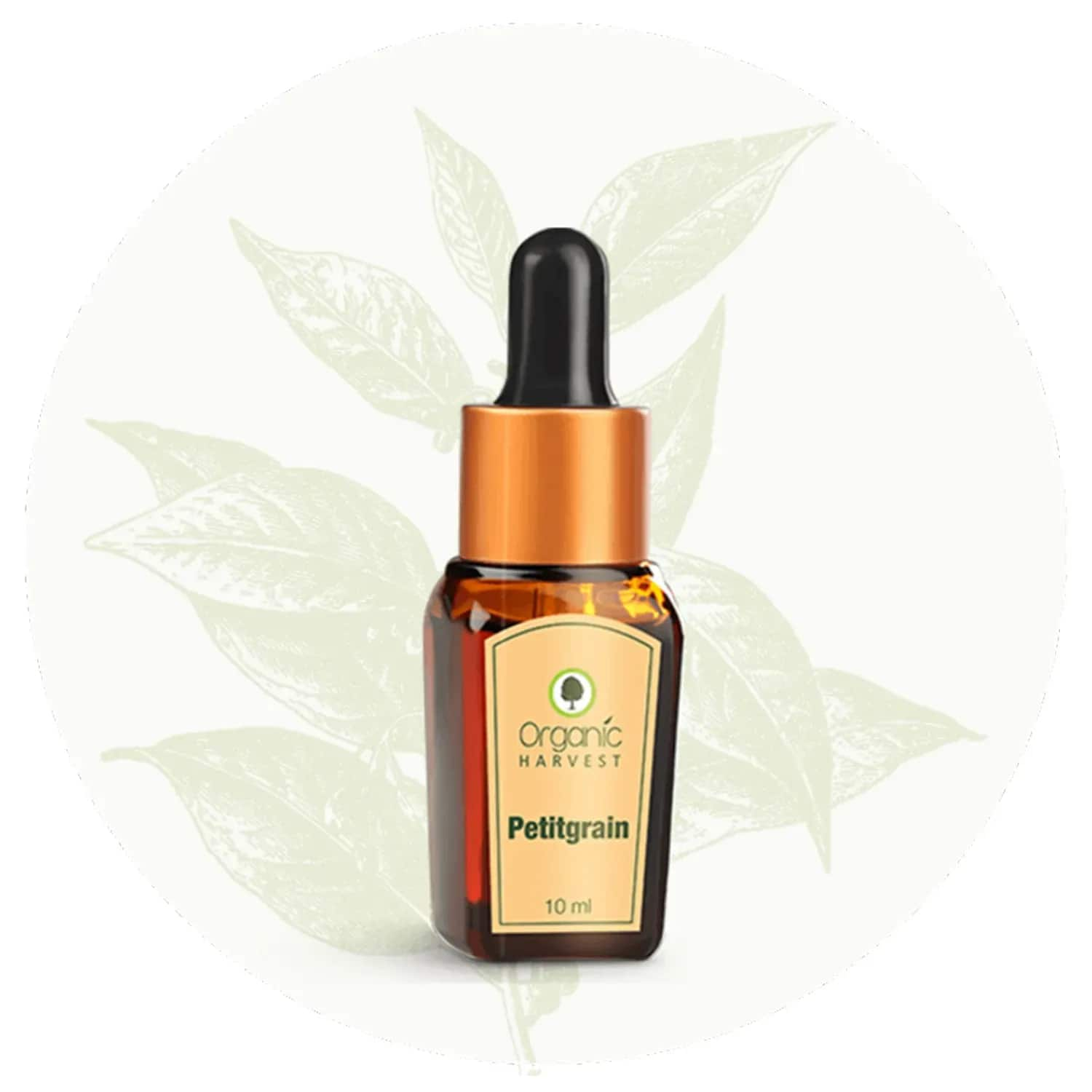 Organic Harvest | Organic Harvest Petitgrain IMP M Essential Oil (10ml)