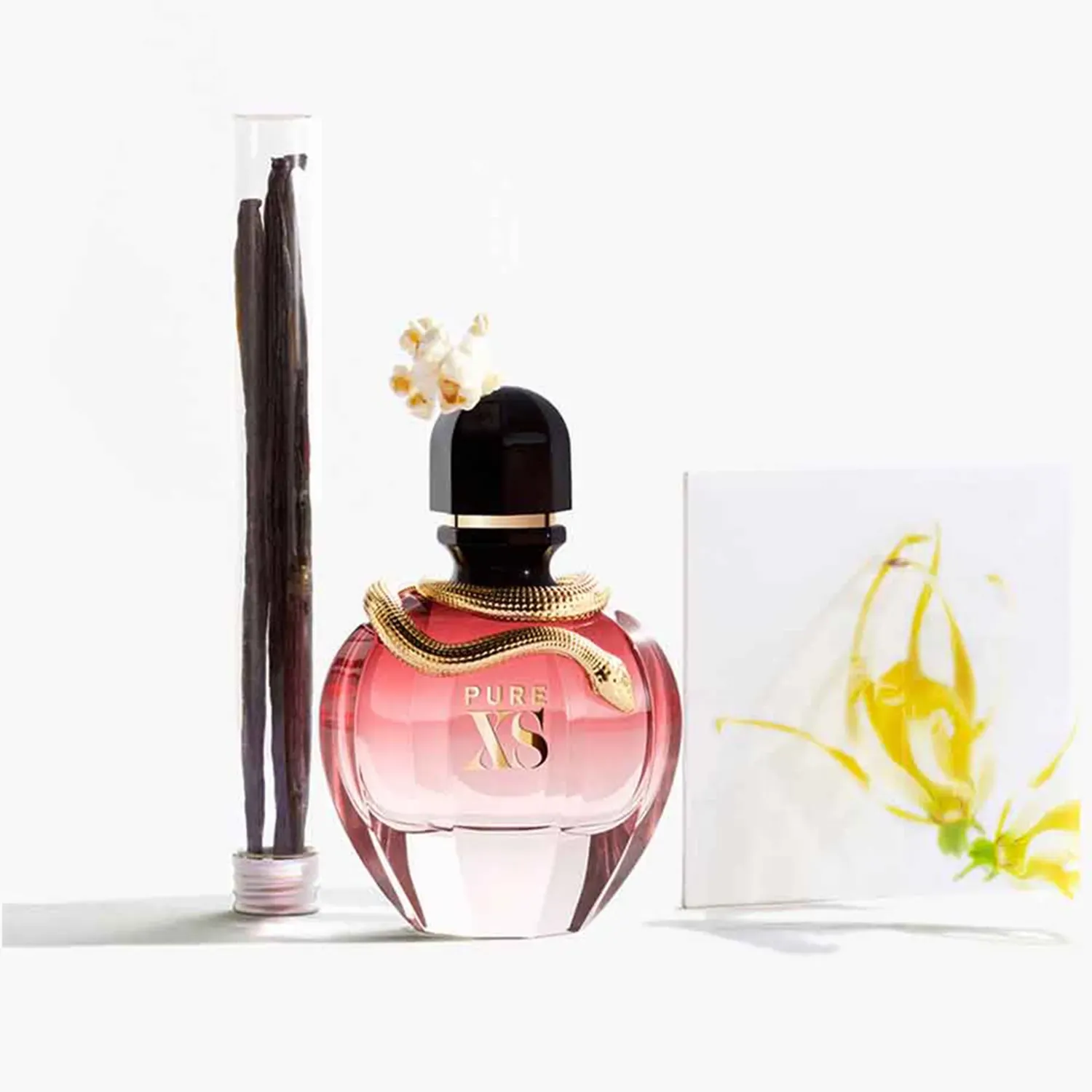 Paco rabanne pure xs for her 80ml outlet