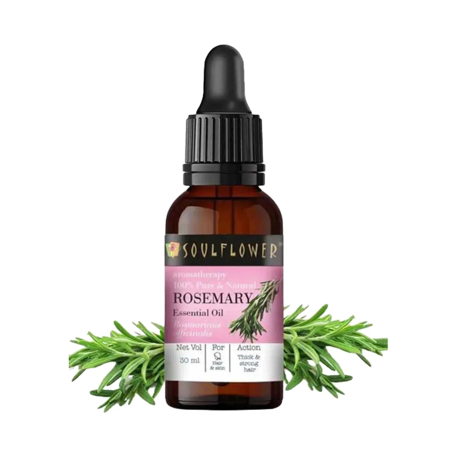 Soulflower | Soulflower Rosemary Essential Oil (30ml)