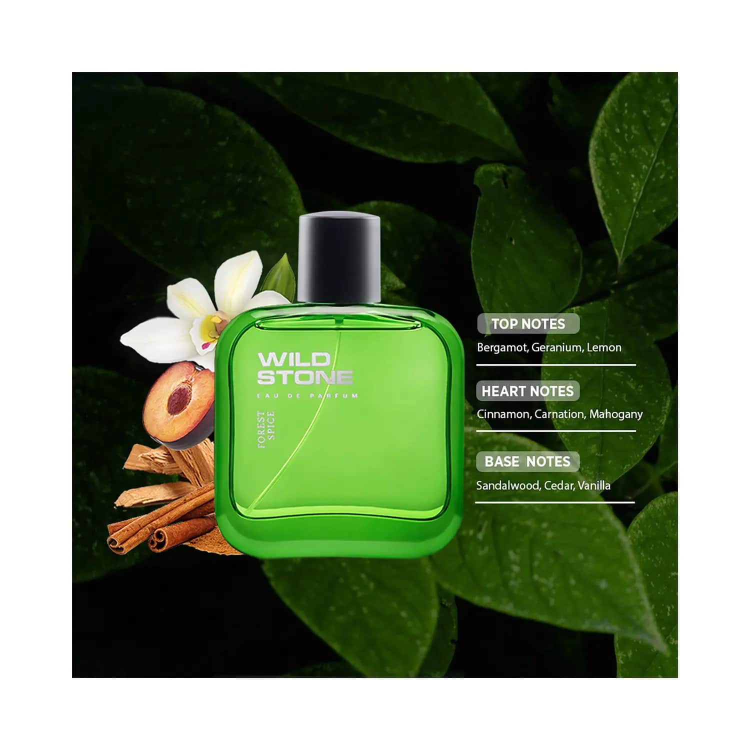 Wild stone forest on sale spice perfume review