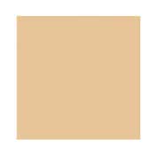 Laura Mercier Mini Tinted Moisturizer Natural Dewy SPF 30 - 1N Birch (15 ml)