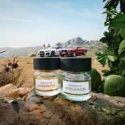 BMW Bergamood Eau de Parfum (100 ml)